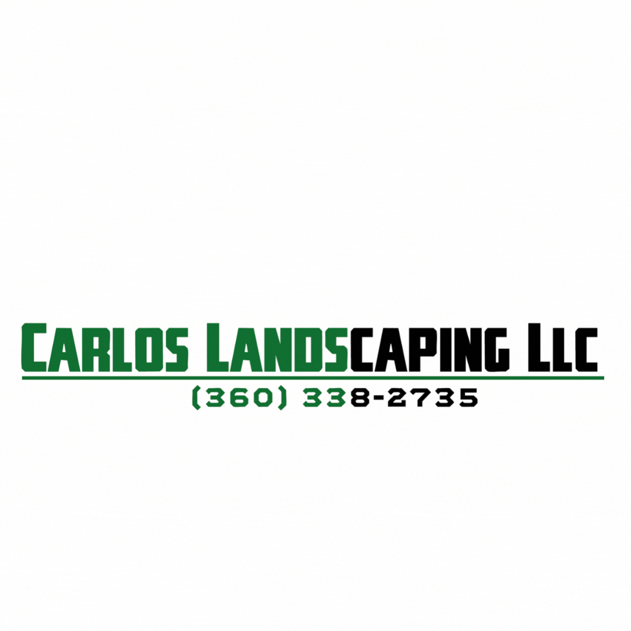 carlos landscaping llc