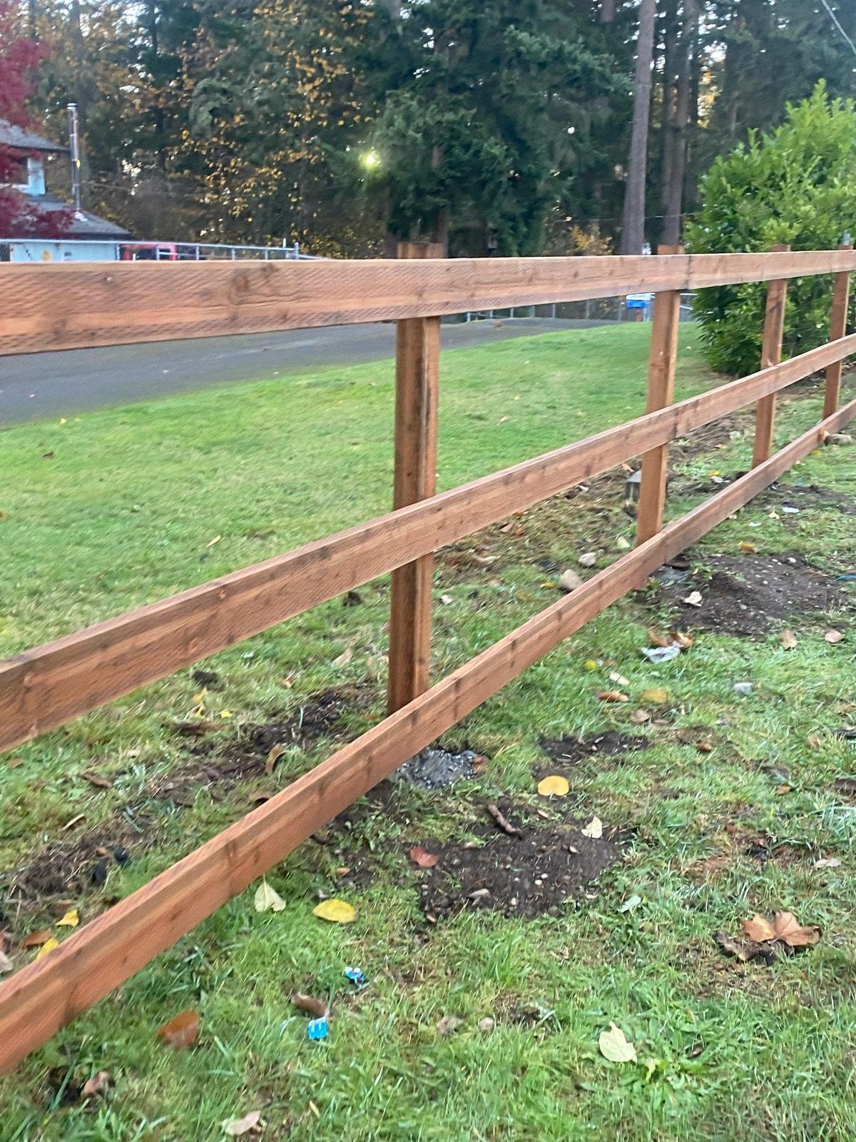 carlos landscaping (30)