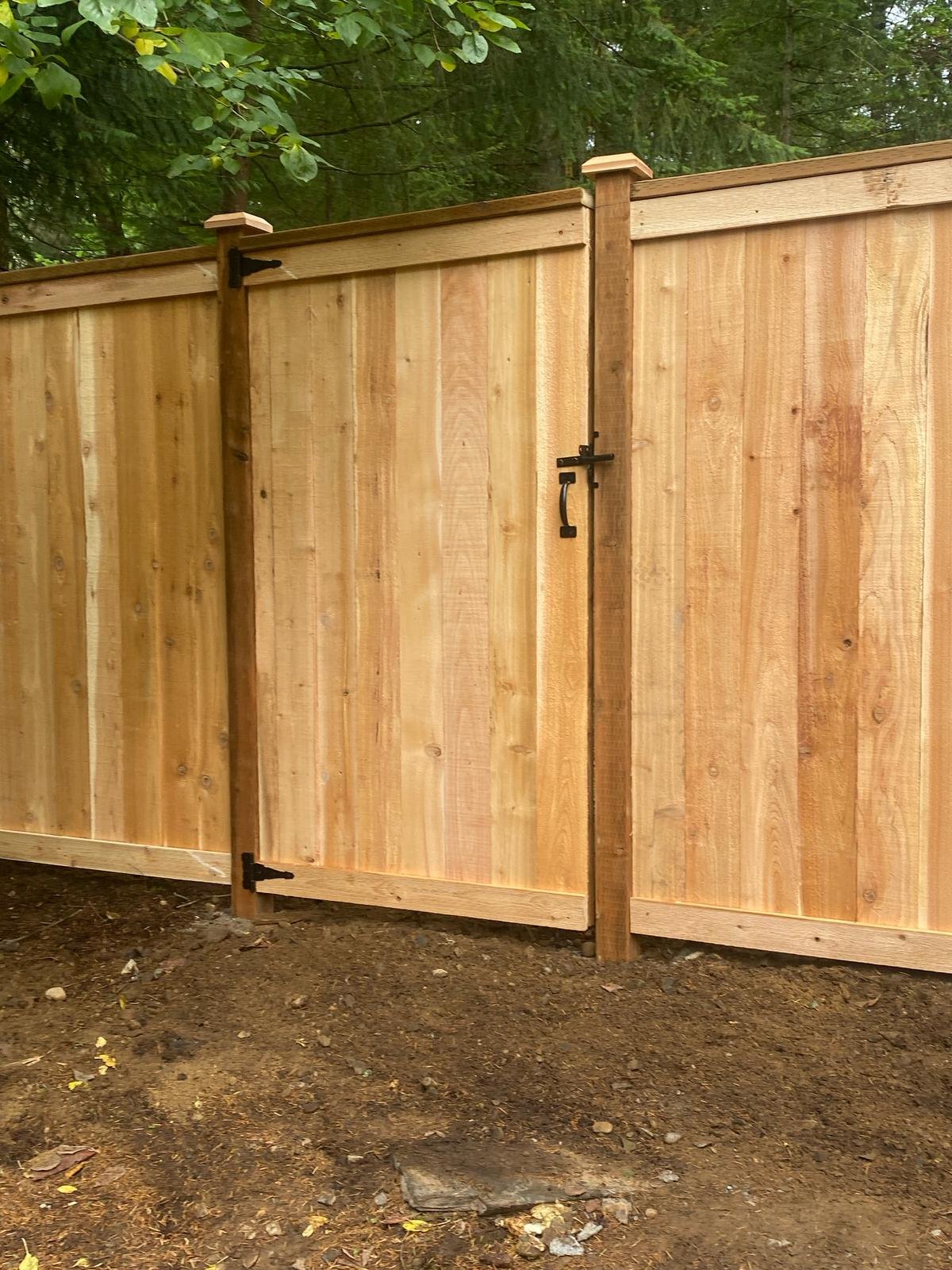 carlos landscaping (34)